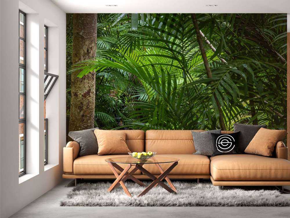 Forêt tropicale humide