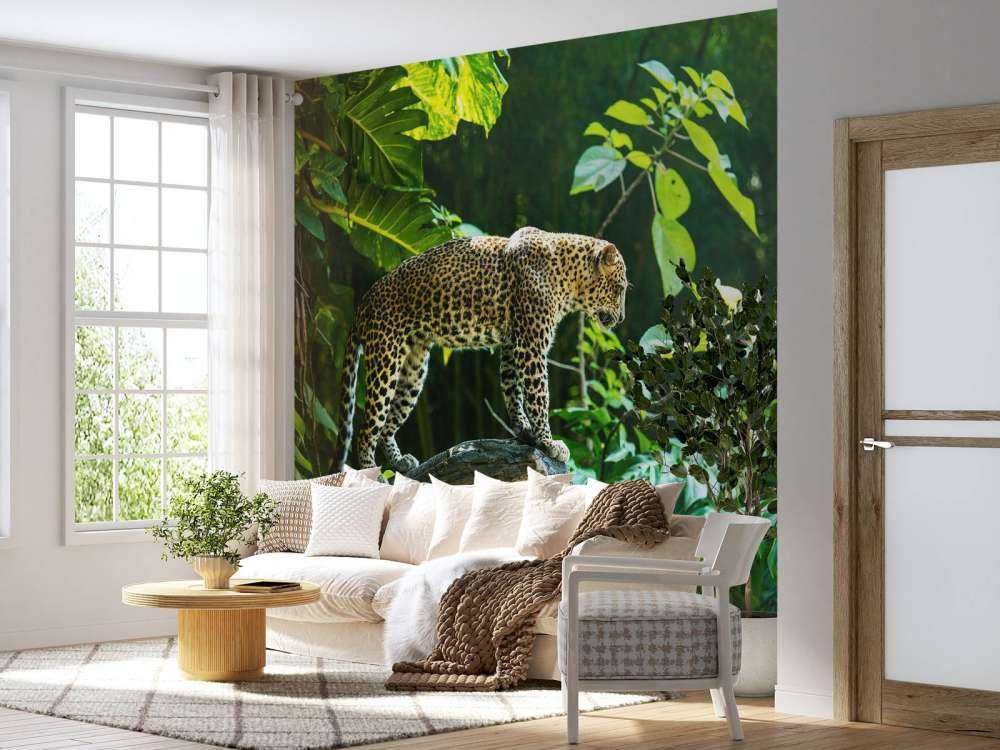 Léopard sur un rocher