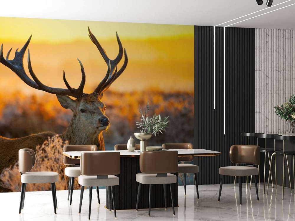 Cerf dans une réserve naturelle