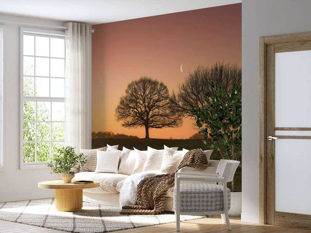 La lune entre les arbres