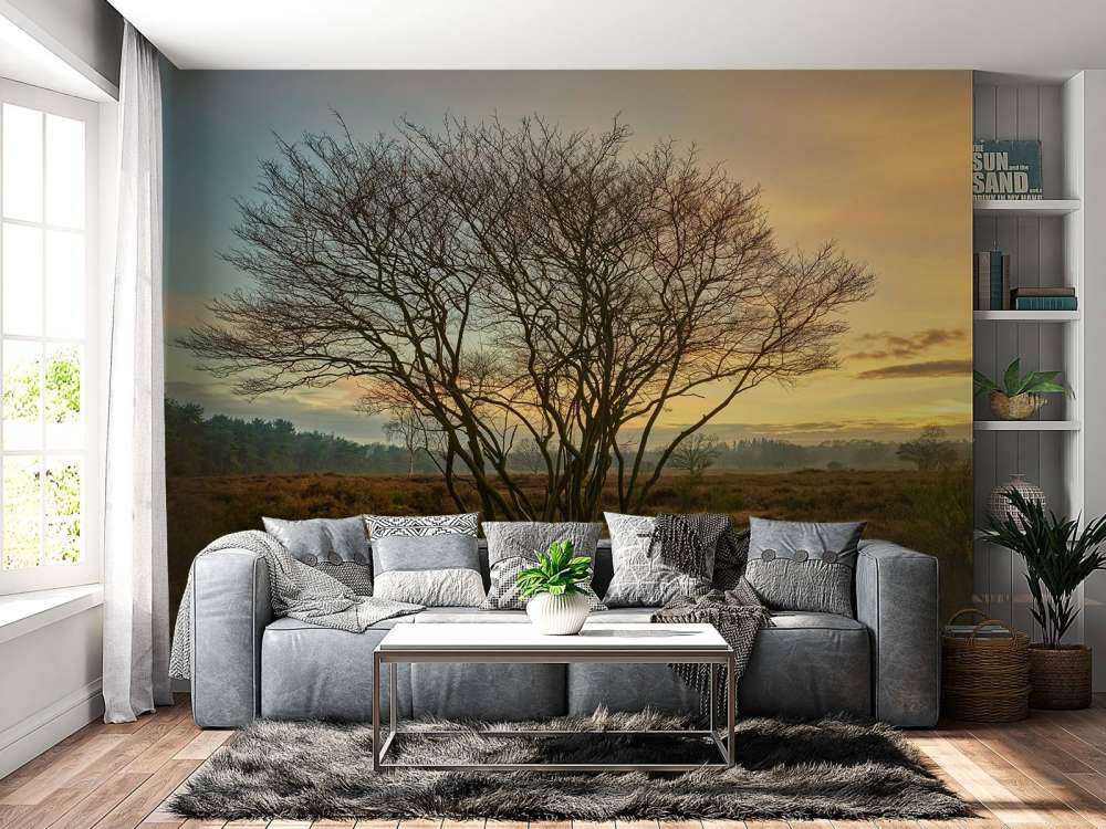 Lever de soleil sur la lande