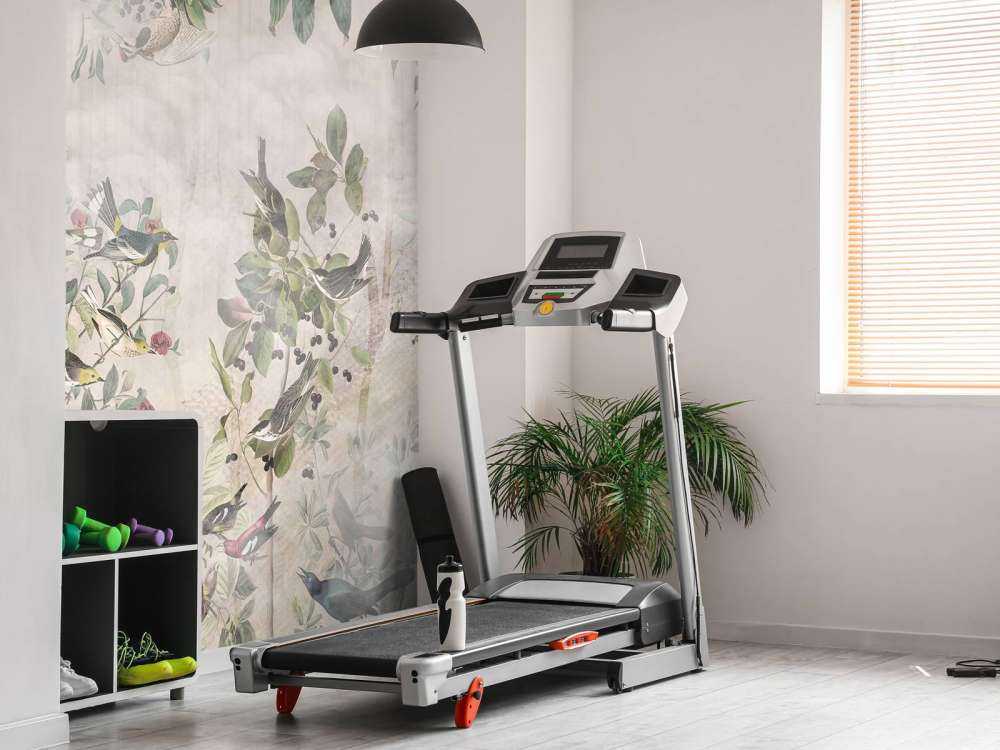 Oiseaux de la forêt en harmonie