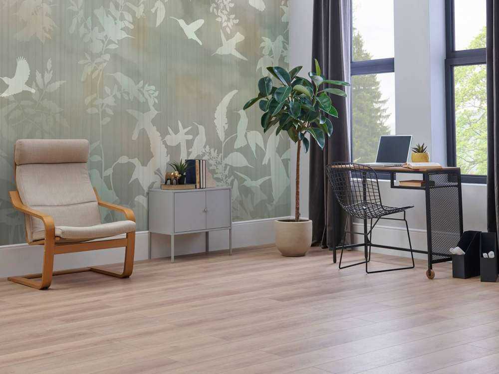 Bırds ın the fog 3