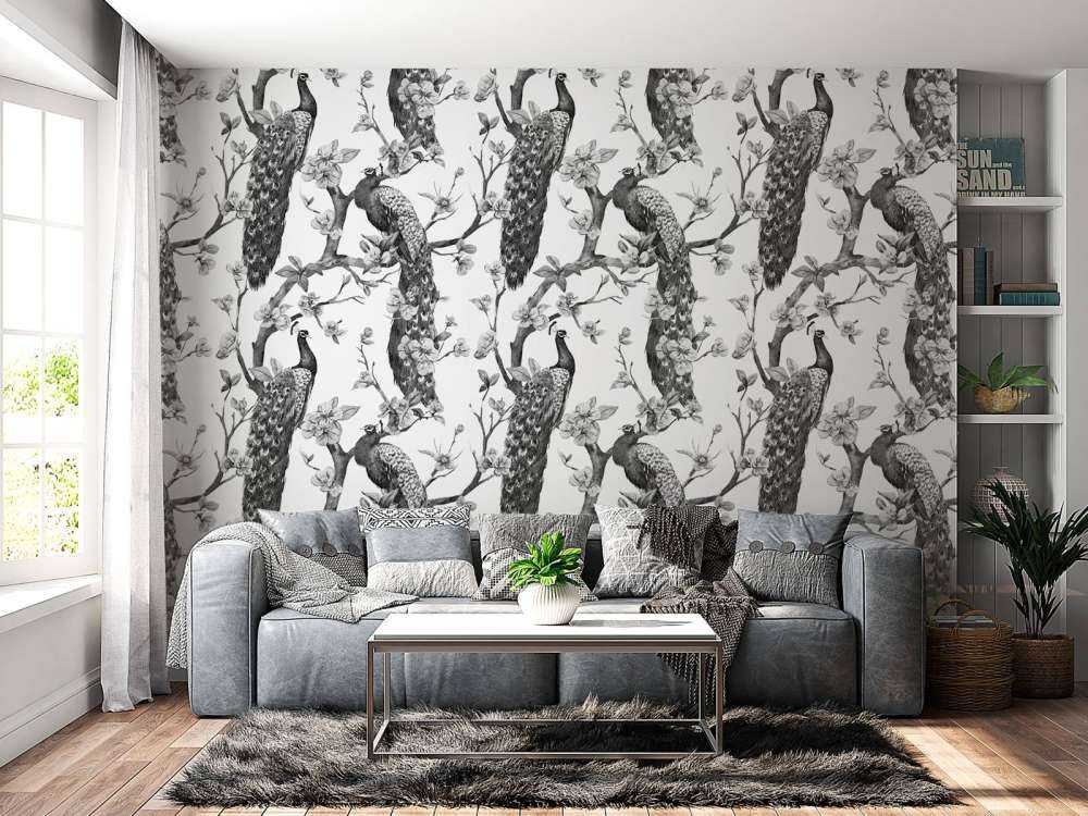 Splendeur Monochrome de Paon