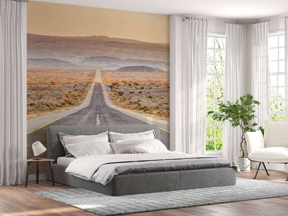 Highway through desert