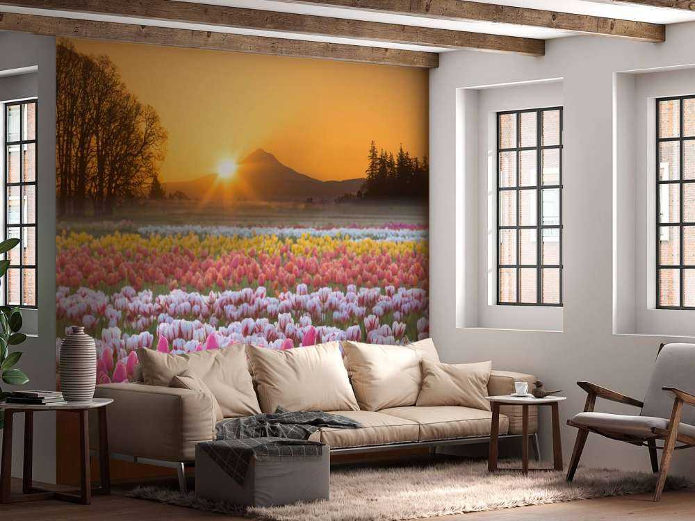 Champ de tulipes coloré