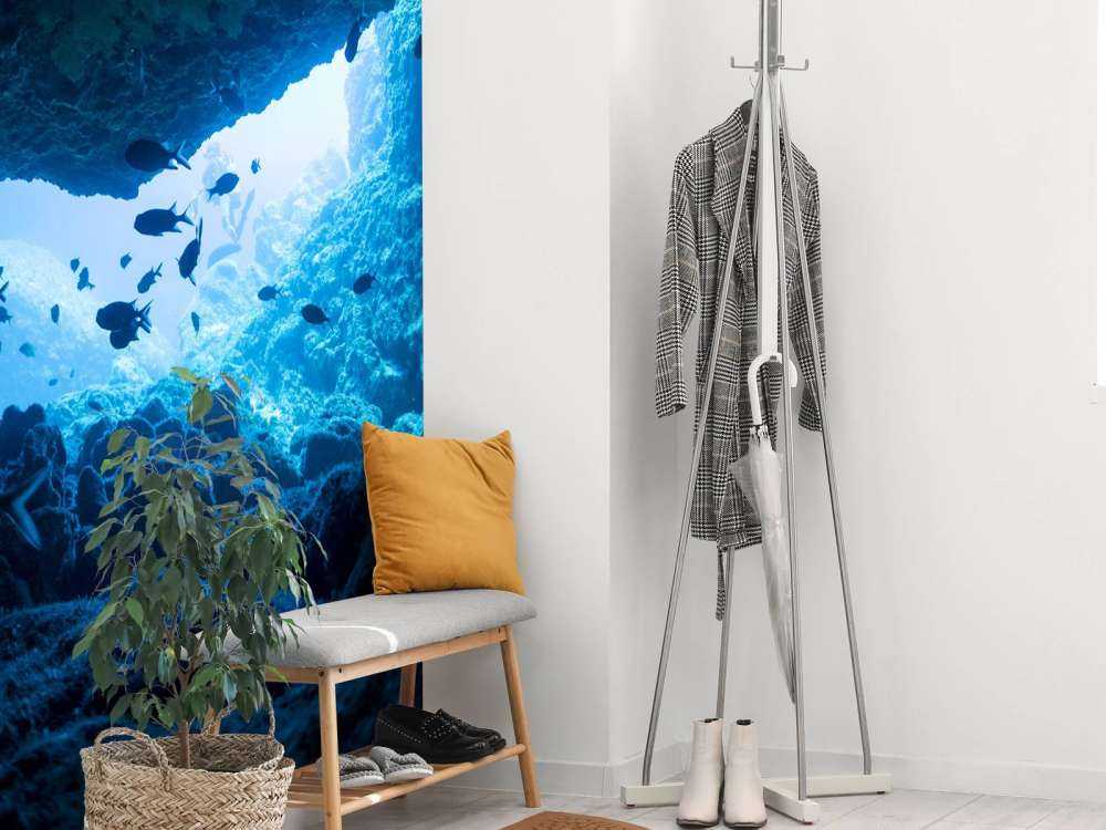 Grotte étroite avec des poissons