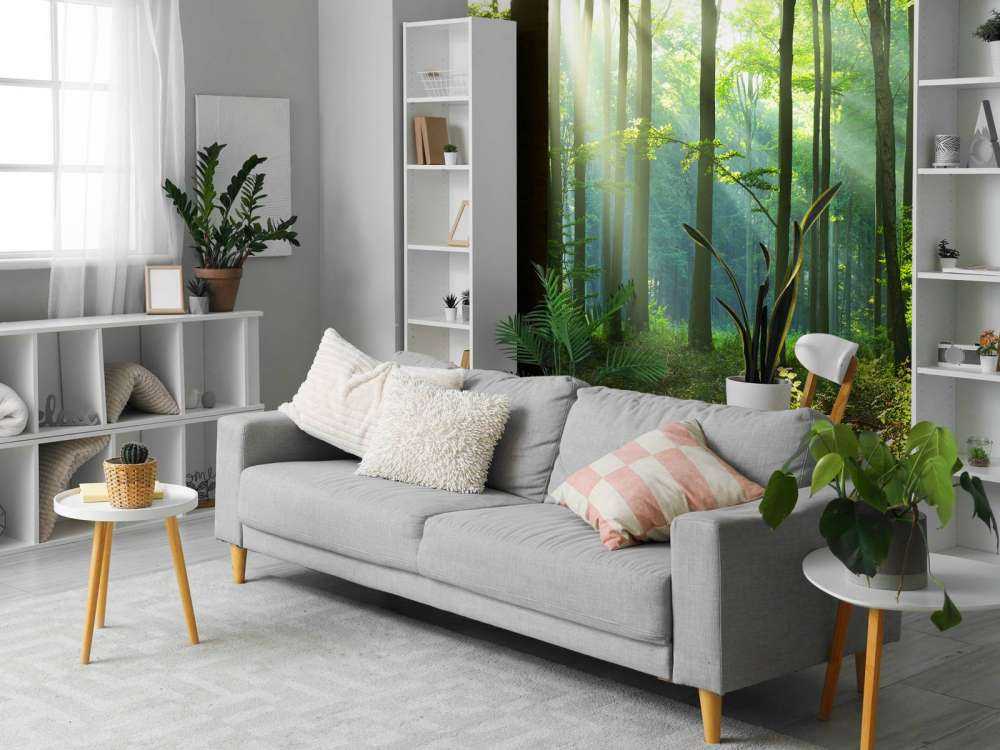 Matin dans la forêt