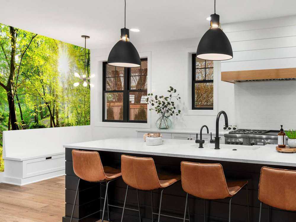 Forêt avec un ruisseau