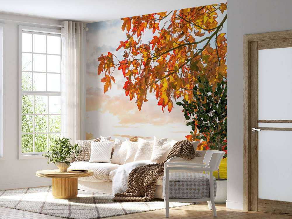 Arbre d'automne au coucher du soleil