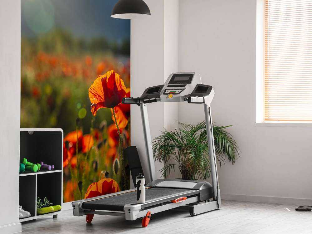 Coquelicots avec rayons de soleil