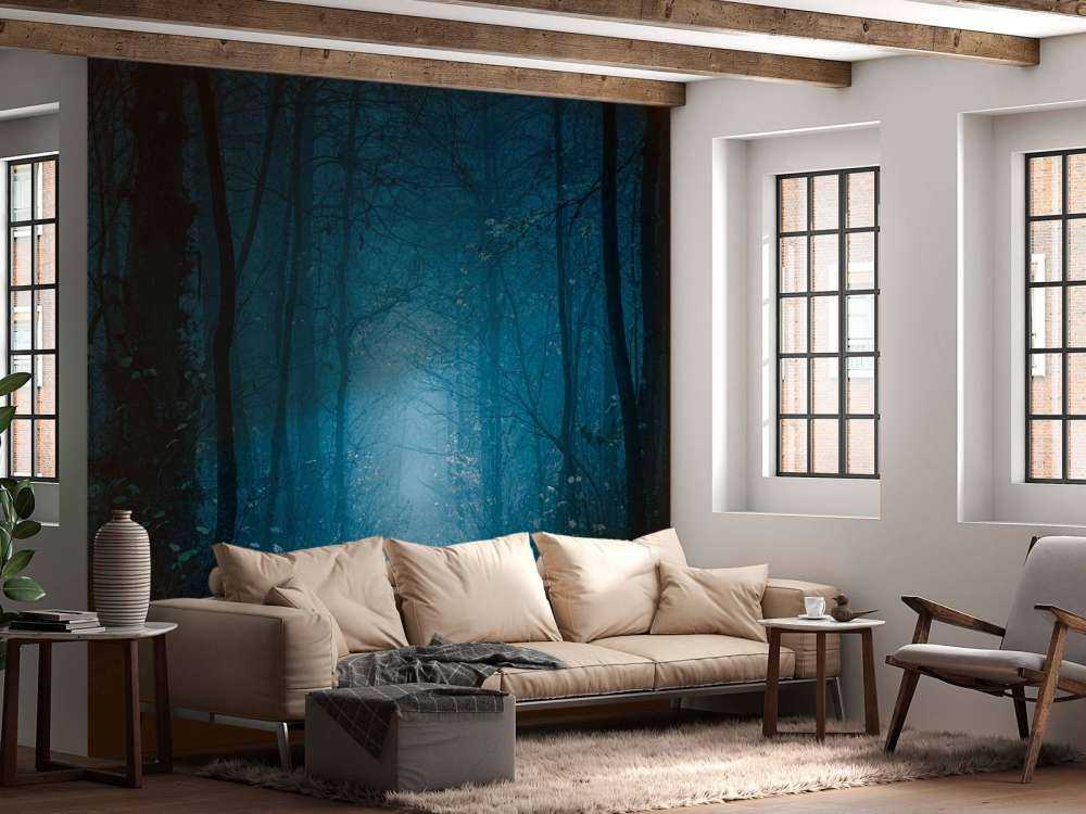 Chemin de la forêt bleue