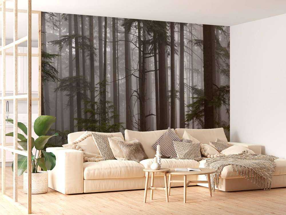 Forêt par temps de brouillard