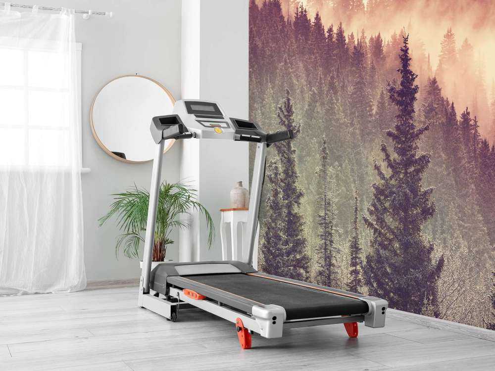 Brouillard dans la forêt