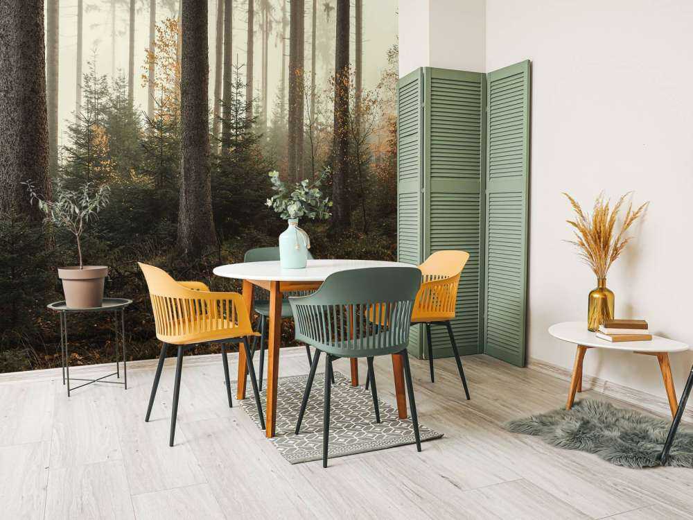 La forêt de Kaufunger