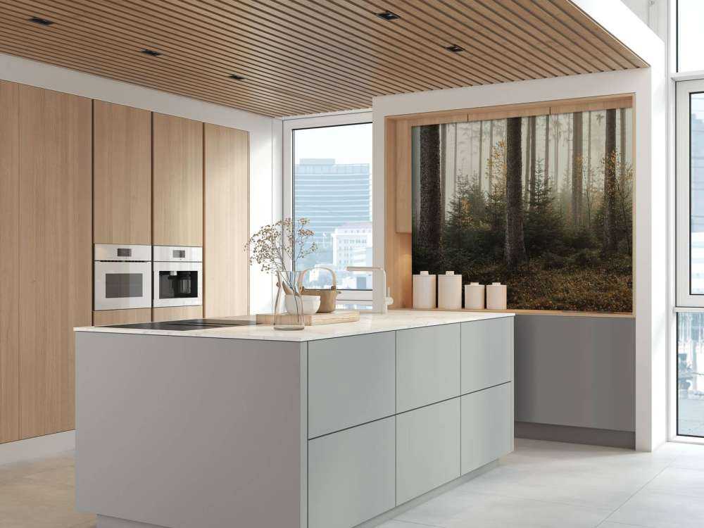 La forêt de Kaufunger