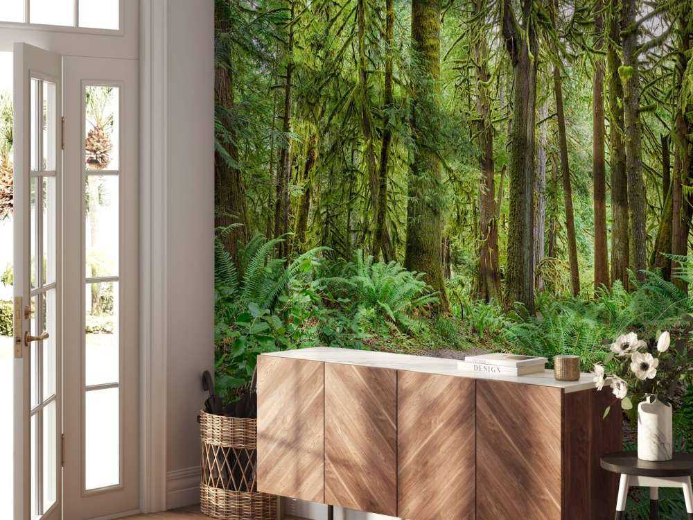 Sentier en pierres à travers la forêt