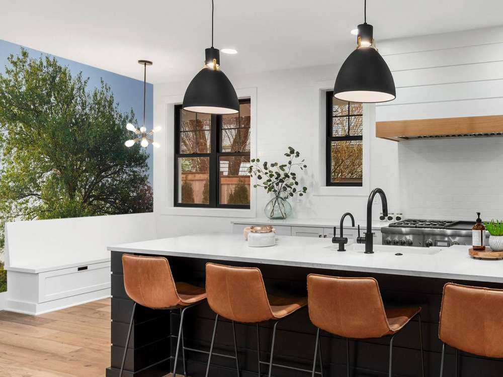 Arbre solitaire sur la lande