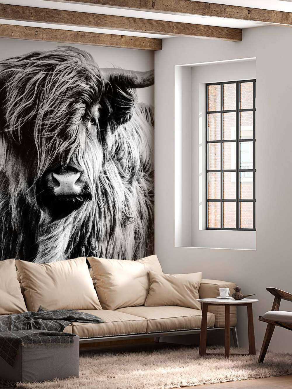 Le Highland écossais en noir et blanc