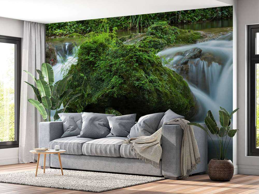 Chute d'eau dans la forêt