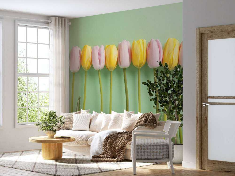 Tulipes sur fond vert menthe