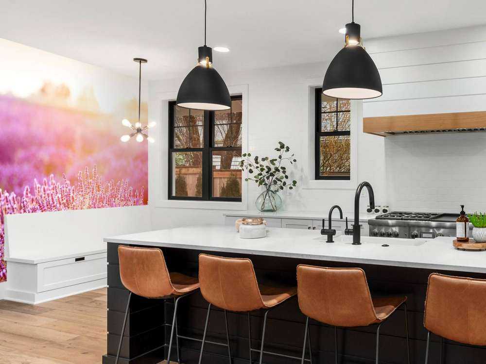 Gros plan sur des fleurs de lavande