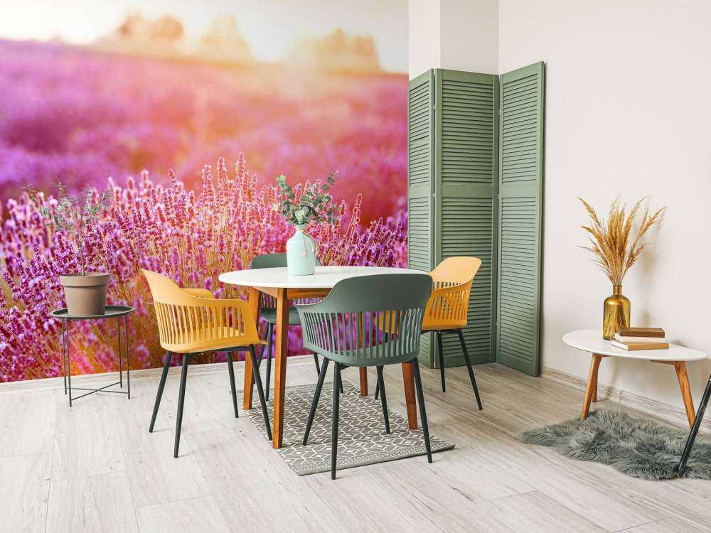 Gros plan sur des fleurs de lavande