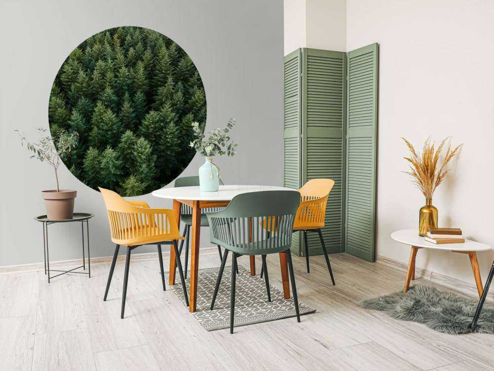 Les sapins de Douglas vus d'en haut