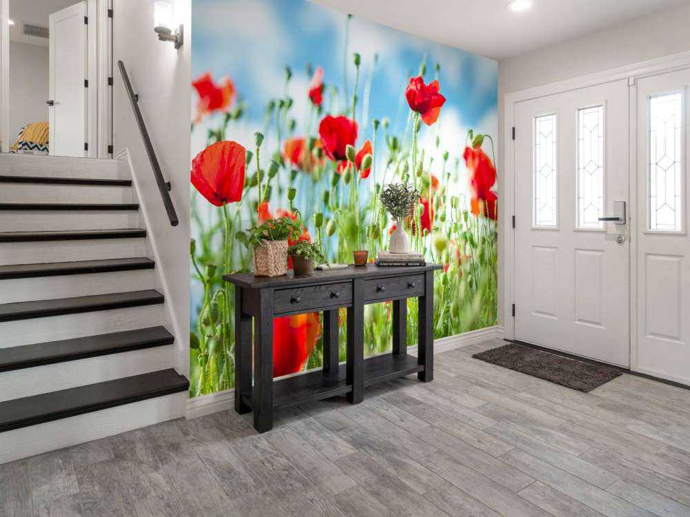 Champ avec des coquelicots