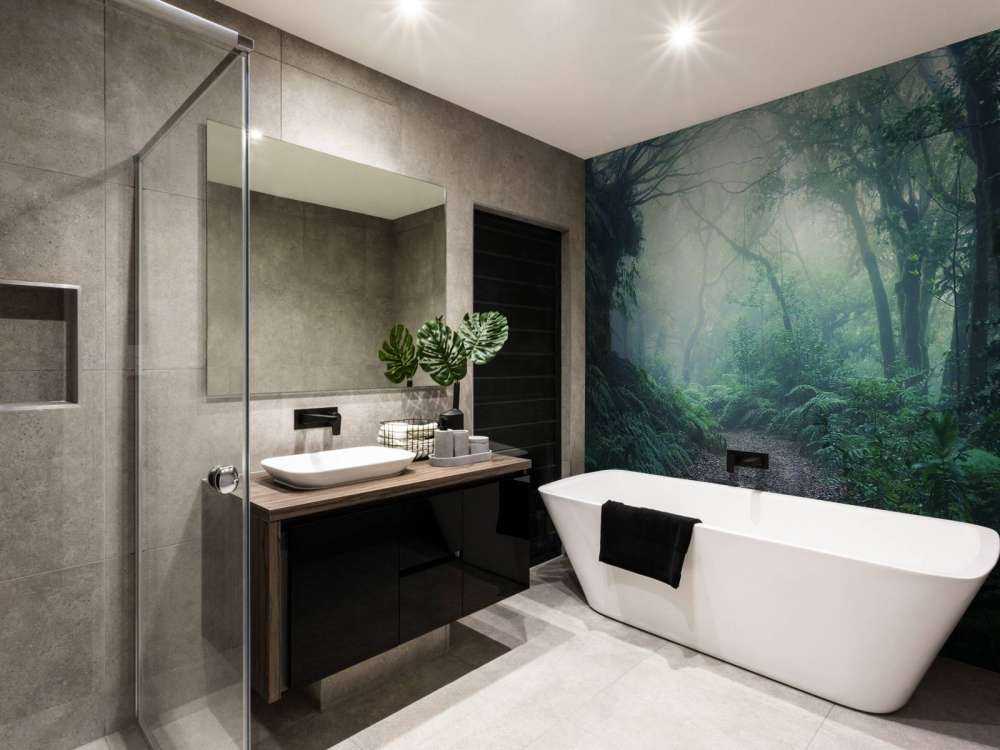 Forêt verte et brumeuse