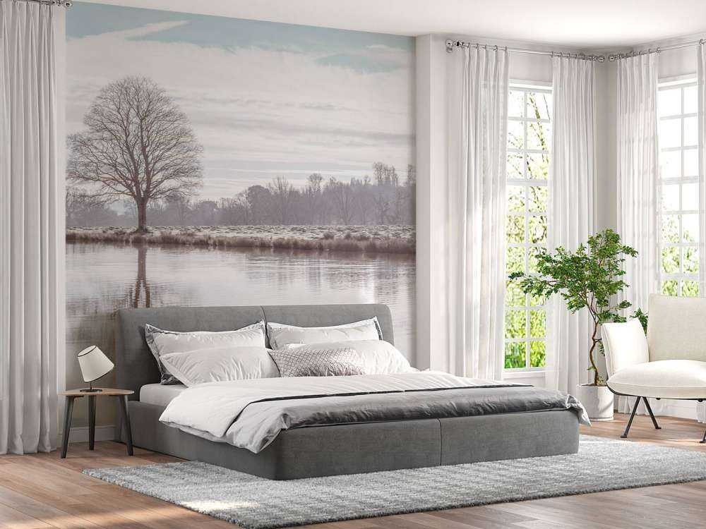 Arbre dans un brouillard