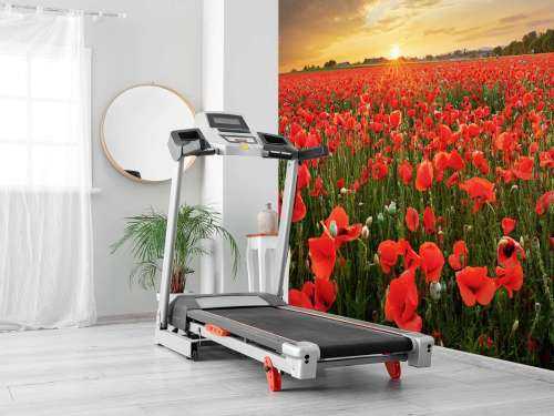 Coucher de soleil avec des coquelicots