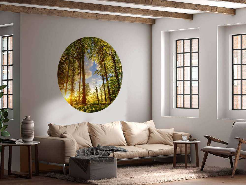 Coucher de soleil à travers les arbres