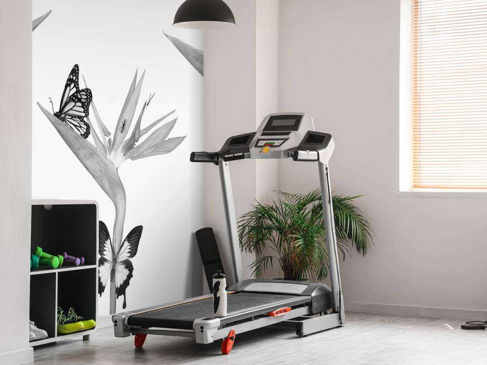 Papillons sur fleurs d'oiseaux de paradis