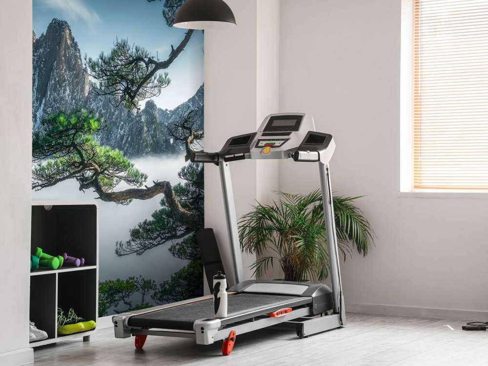 Strange pine tree in Yellow mountain