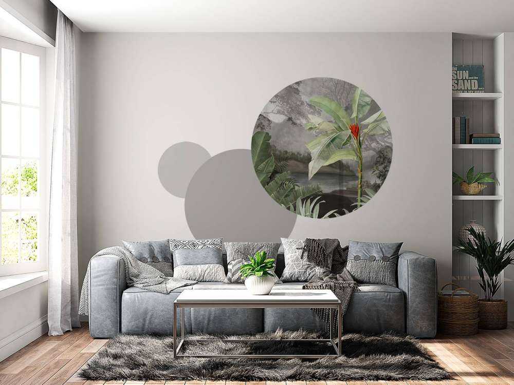 Arbres sous les tropiques