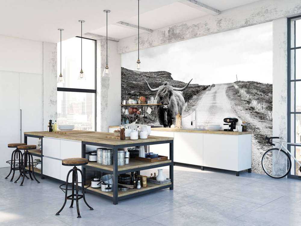 Le Highland écossais sur la route