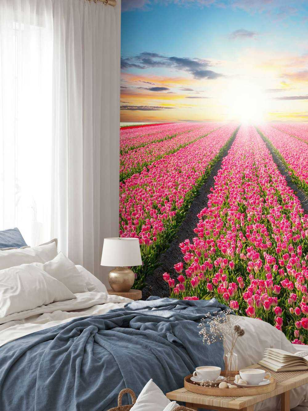 Tulipes avec le soleil levant