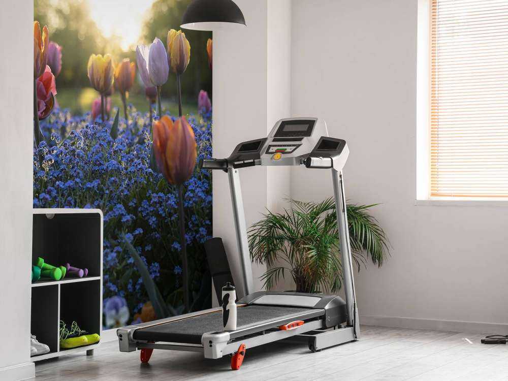 Champ de tulipes joyeux