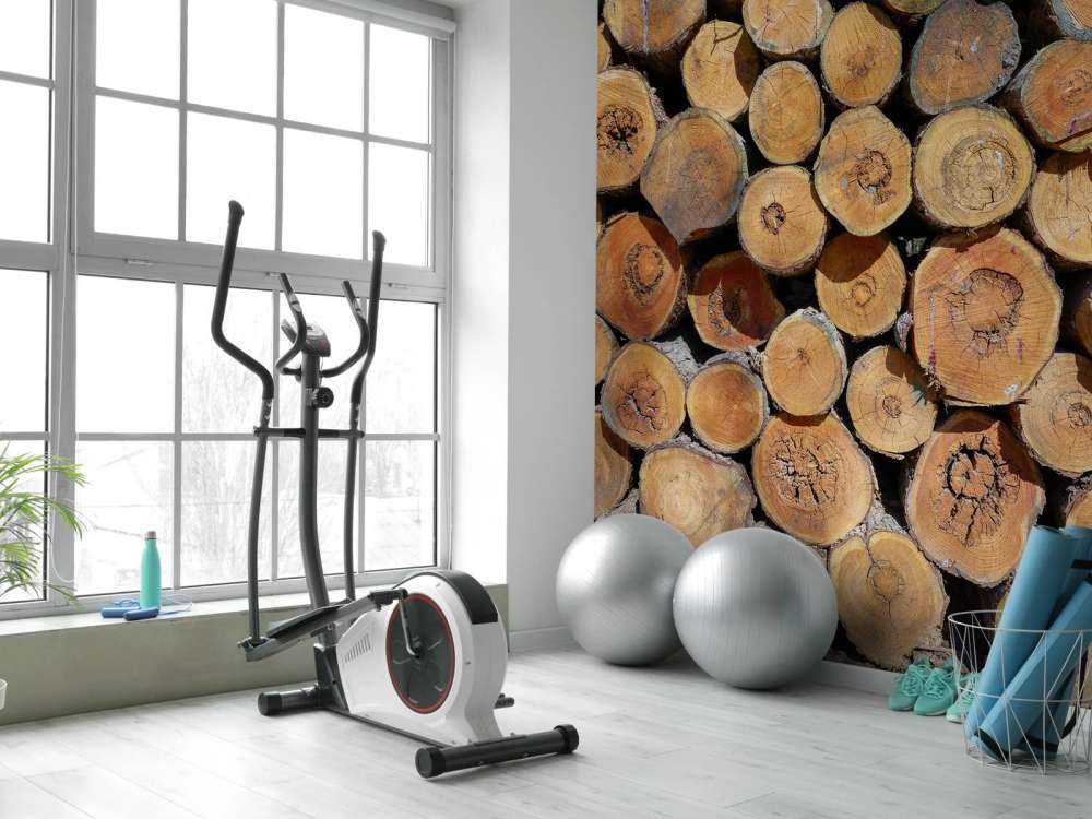 Pile de troncs d'arbres