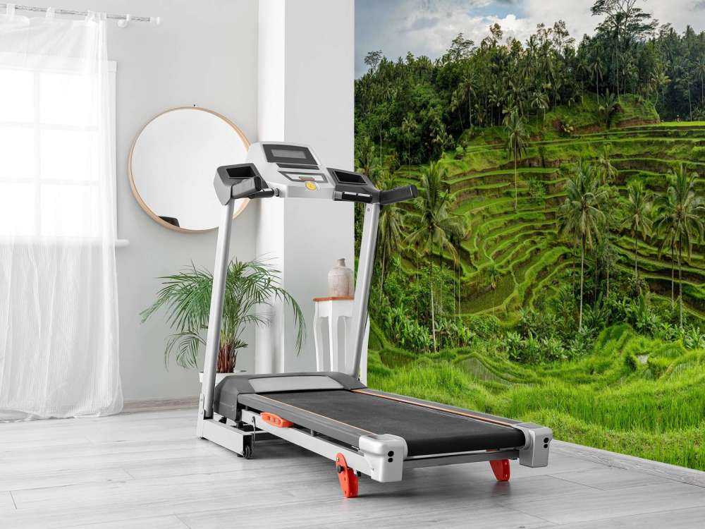 Les rizières thaïlandaises