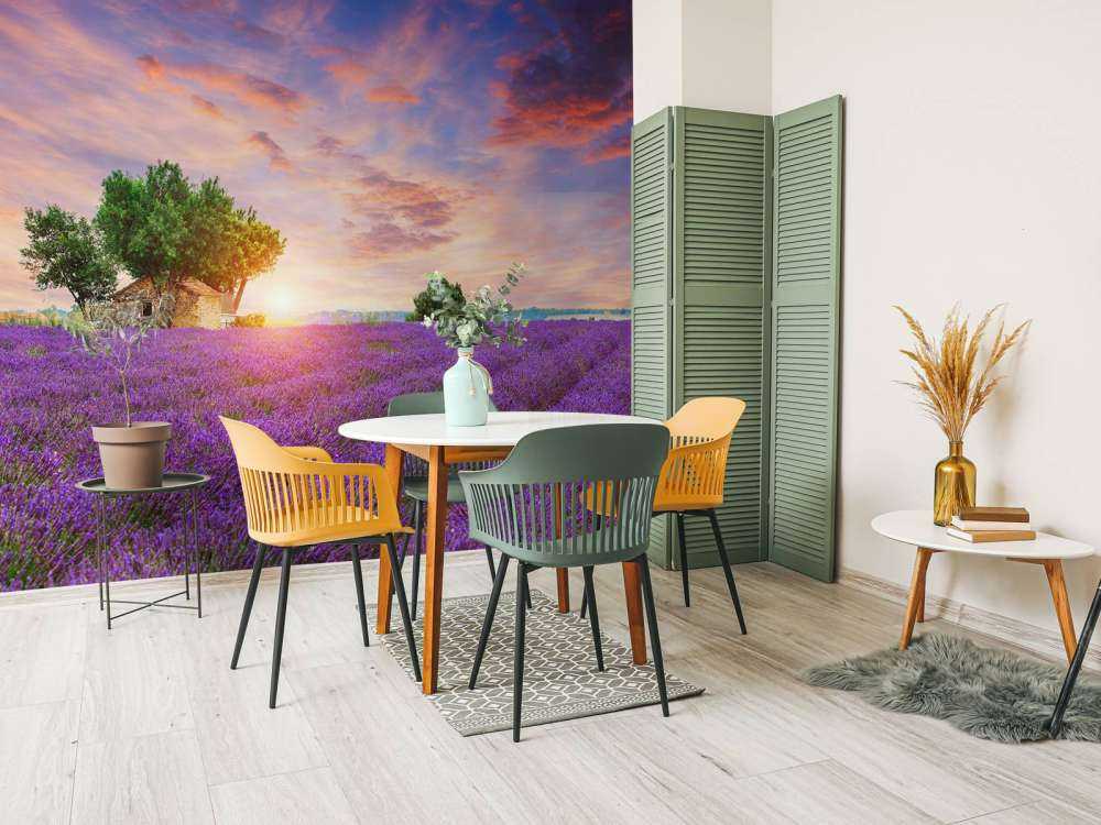 Champ de lavande au lever du soleil