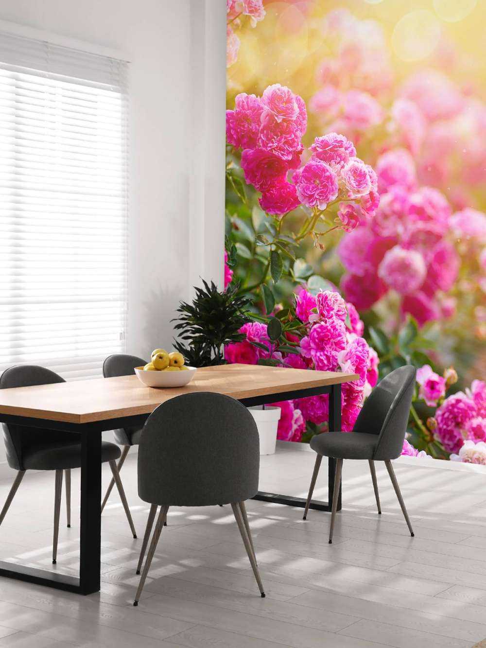 Rosiers roses