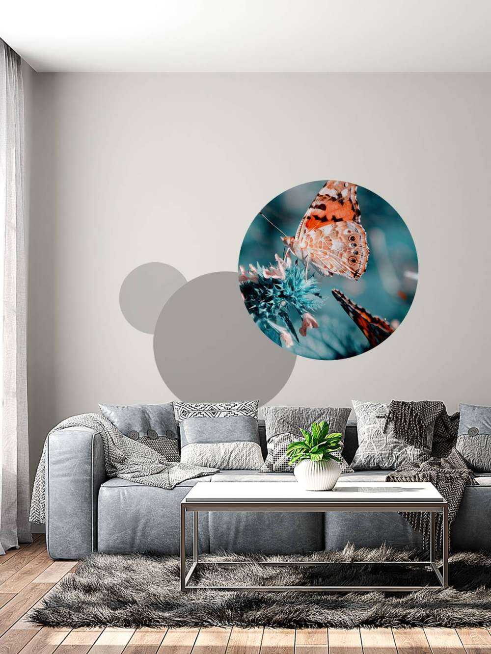 Les papillons de l'orange