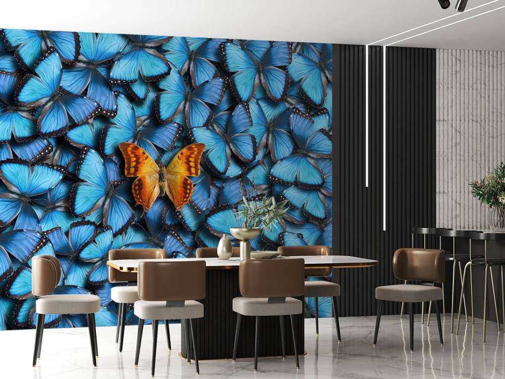 Composition du papillon