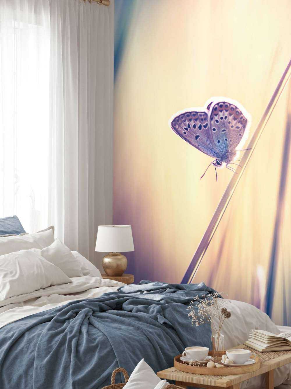 Papillon de rêve