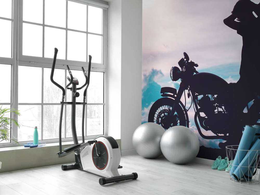 Motocycliste silhouette