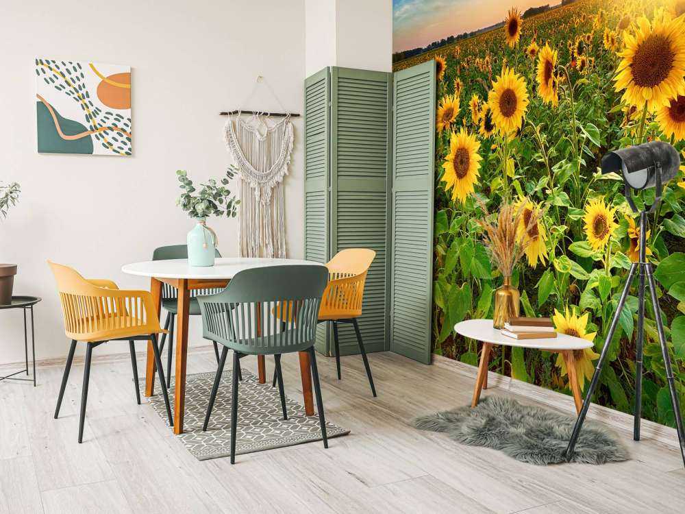 Un beau champ de tournesols