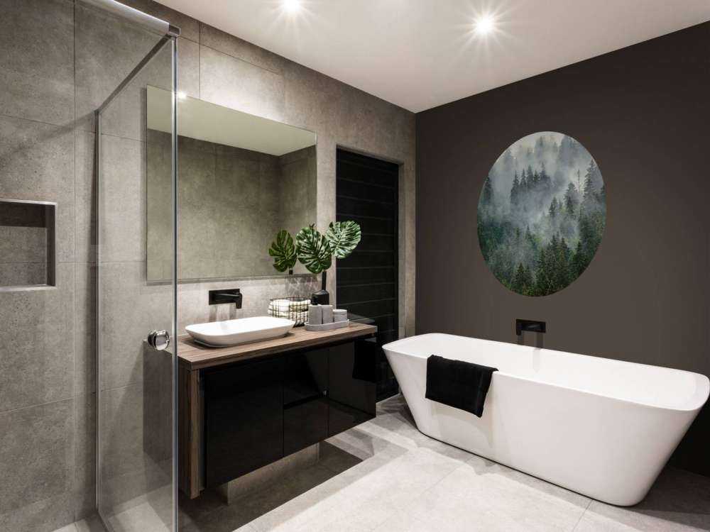 Paysage brumeux avec des arbres verts