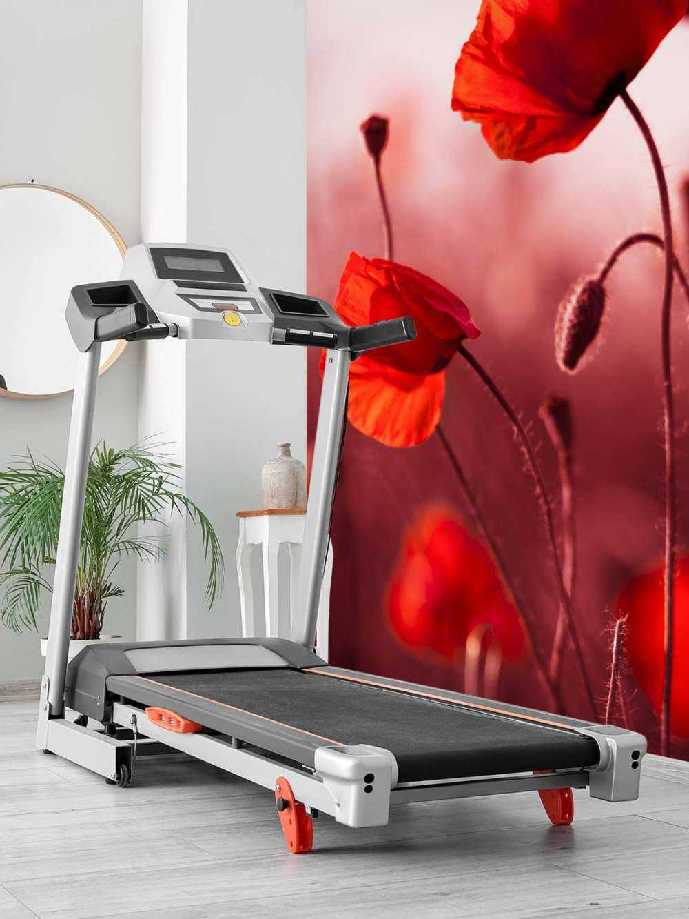 Des coquelicots dans la prairie